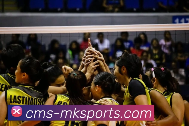 MK体育服务体系